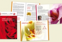 Broschüre für das STEBS-Trinitysystem, Schweiz
