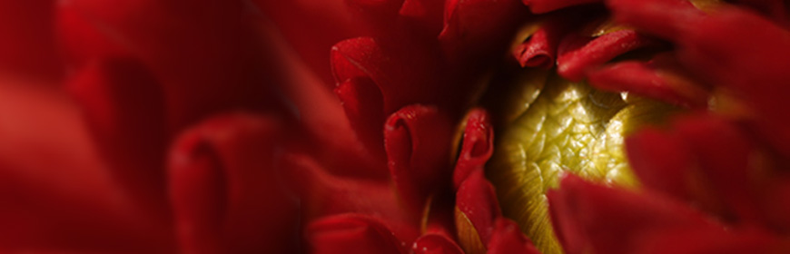 Web Design - Authentisches Design